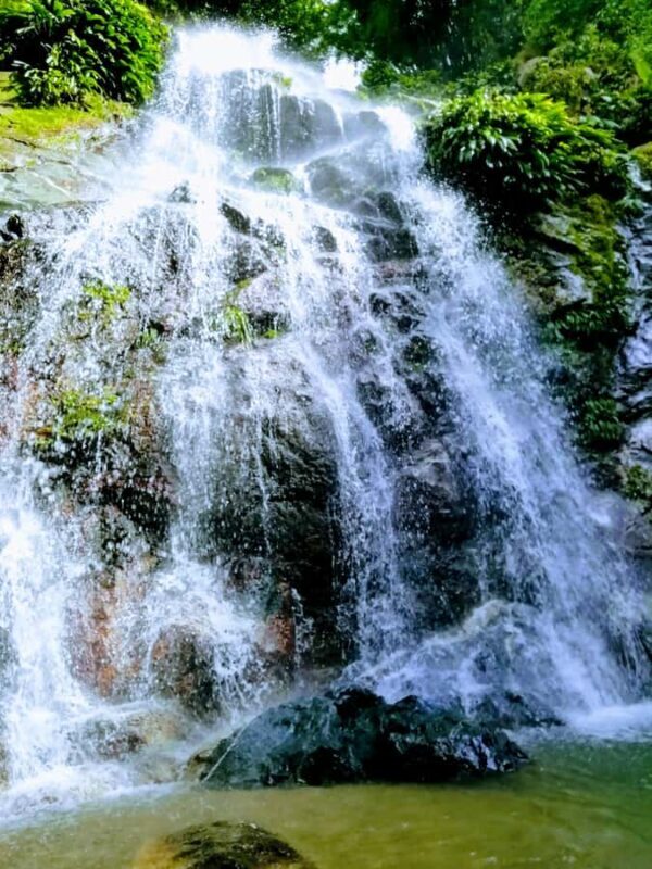 Sierra Minca Day Tour - Lunch and Relaxation at Sierra Minca Hostel