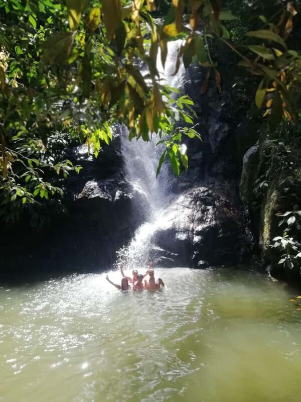 Sierra Minca Day Tour - Optional Swimming and Scenic Rest