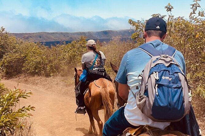 Sierra Negra Volcano Galapagos Horse Riding - Detailed Review of the Sierra Negra Horseback Tour