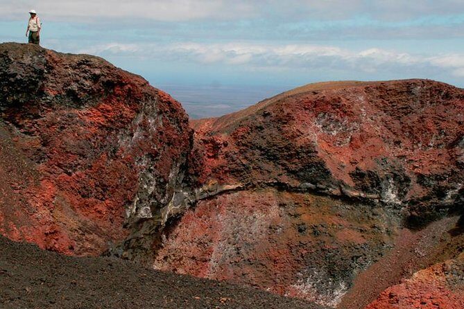 Sierra Negra Volcano Walking Tour in Isabela Island - The Sum Up