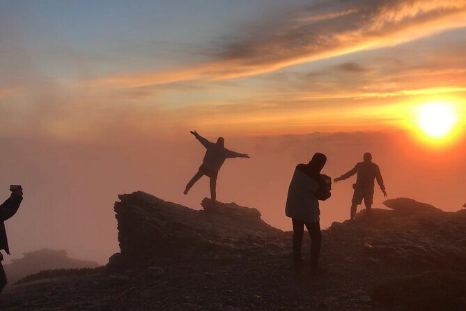 Sierra Nevada Safari 7 hours tour from Granada - Authentic Reviews: Voices from Travelers