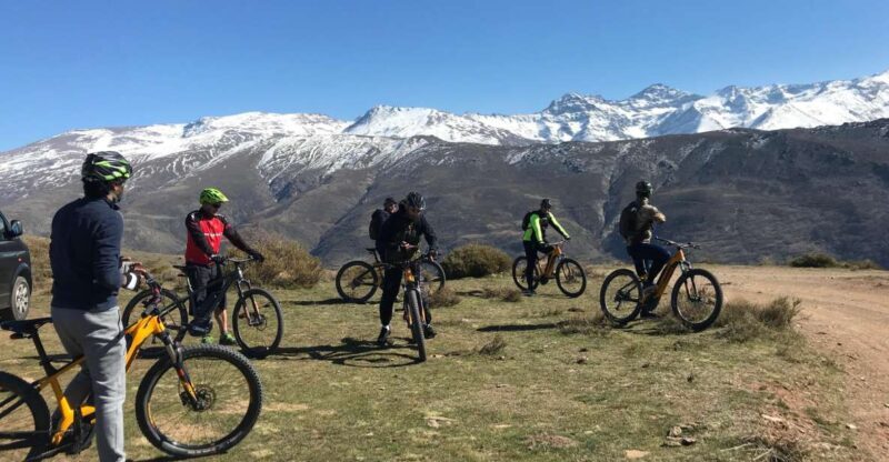 Sierra Nevada Small Group E-Bike Tour - Wildlife and Mountain Highlights