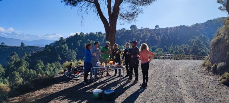 Sierra Nevada Small Group E-Bike Tour - The Overall Experience: What Reviewers Love