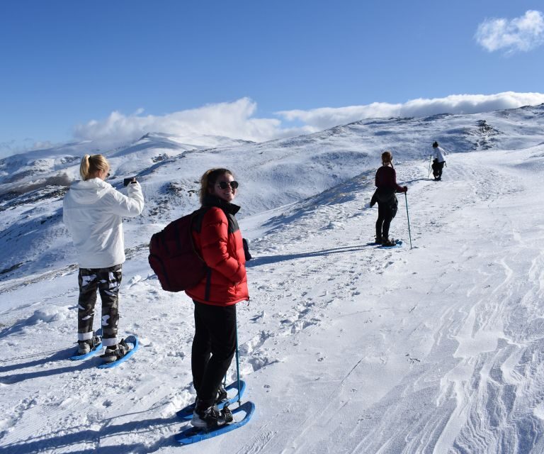 Sierra Nevada: Snowshoe Hiking Tour - Key Points