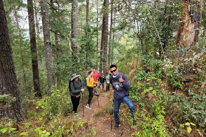 Sierra Norte Hike and Indigenous Village Full-Day Adventure - Who Should Consider This Tour?