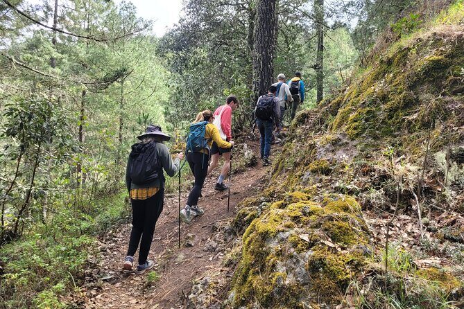 Sierra Norte Hike and Indigenous Village Full-Day Adventure - The Sum Up