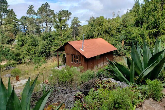 Sierra Norte Hike and Indigenous Village Full-Day Adventure - FAQ