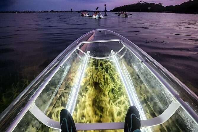 Siesta Key, FL - Clear Kayak LED Night Glass Bottom Tour - Exploring the Siesta Key LED Night Glass Bottom Tour in Detail