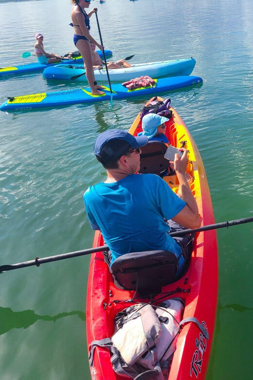 Siesta Key: Mangrove Kayak or Paddleboard Tour - The Practical Side: What You Need to Know