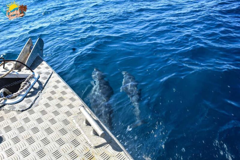 Sigatoka: Fishing Charter with River Cruise and Snacks - FAQ