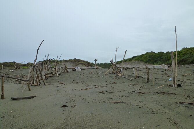 Sigatoka Sand Dune and Water Fall Nature Tour Ex Nadi Sigatoka - Who Should Consider This Tour?