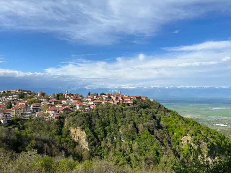 Sighnaghi Day Trip with wine tasting and Bodbe Monastery - A Deep Dive into the Sighnaghi Day Trip Experience