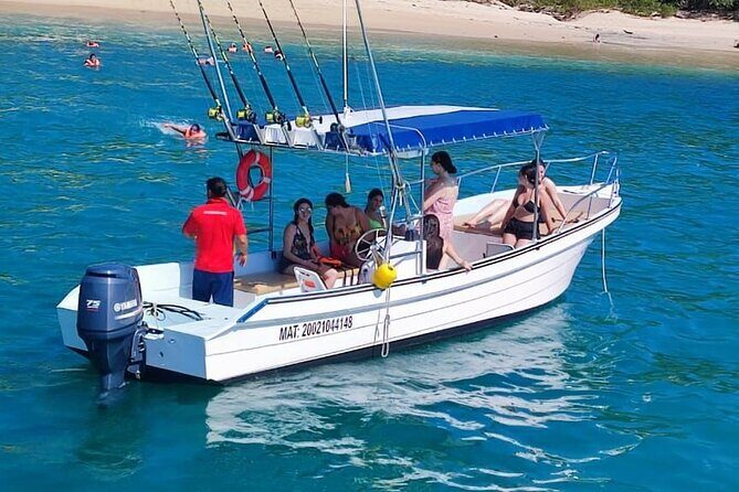 Sighting DE Marine Mammals and Snorkeling - Key Points