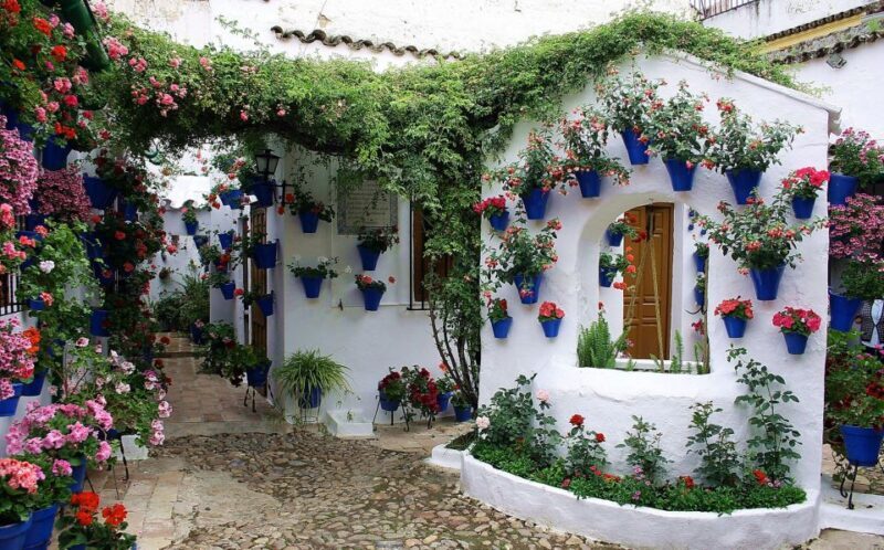 Sights, Sounds, and Scents of Córdoba's Patios - Sights, Sounds, and Scents of Córdobas Patios: A Journey Through Andalusian Charm