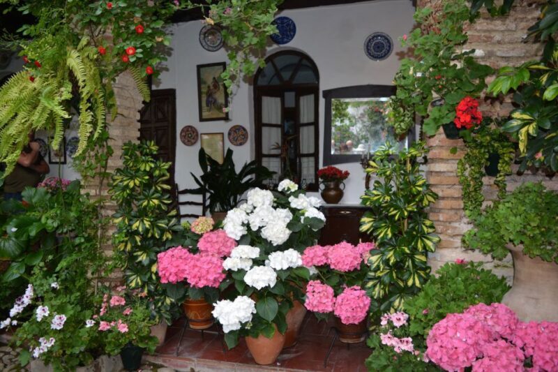 Sights, Sounds, and Scents of Córdoba's Patios - Key Points