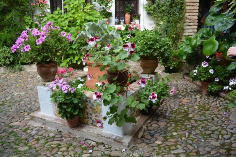 Sights, Sounds, and Scents of Córdoba's Patios - What You Should Know Before Booking