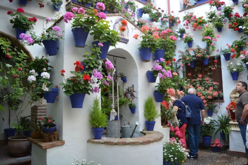 Sights, Sounds, and Scents of Córdoba's Patios - Authenticity, Guides, and Review Highlights