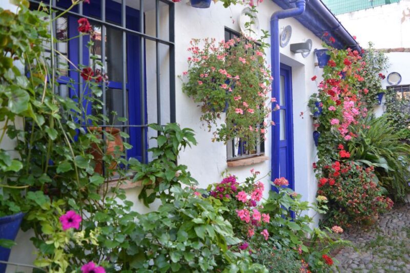 Sights, Sounds, and Scents of Córdoba's Patios - Final Thoughts