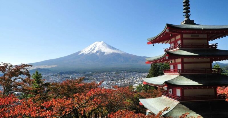 Sightseeing Day Trip to Mount Fuji and Hakone Green Number - The Journey Begins: What to Expect
