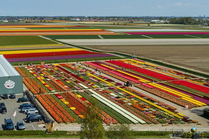 Sightseeing Keukenhof Tulip fields, Giethoorn tour from Amsterdam - A Deep Dive into the Experience