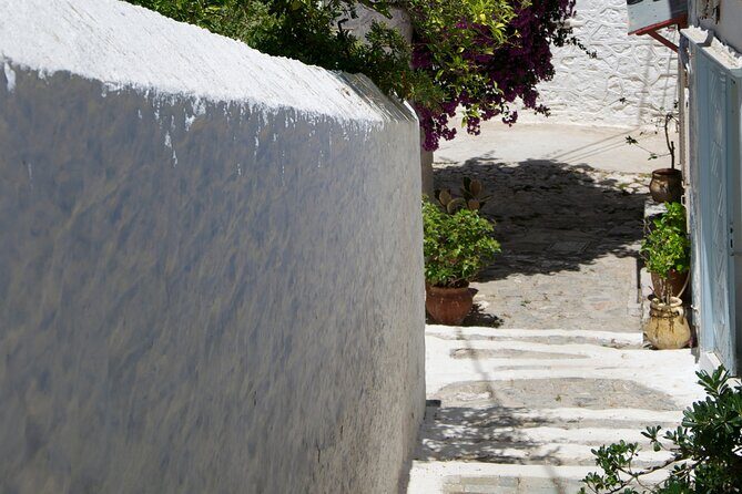 Sightseeing Private Tour in Athens Acropolis (Elysium Travel) - In-Depth Review of the Athens Private Sightseeing Tour
