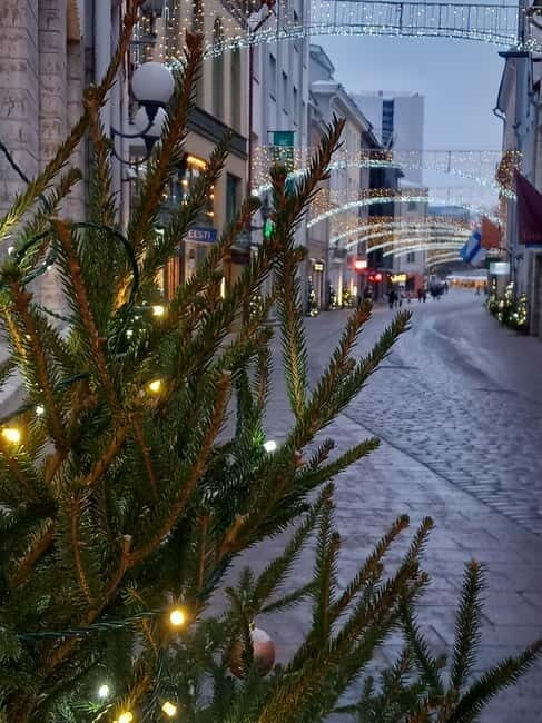 Sightseeing tour "Around Tallinn in 3 hours" - FAQ