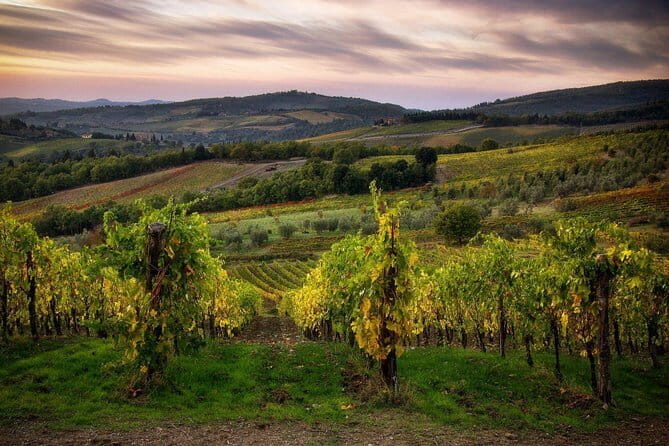Sightseeing Tuscany by touring bike - 1 day rental - Key Points