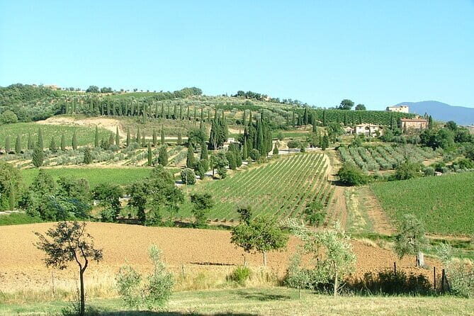 Sightseeing Tuscany by touring bike - 1 day rental - Why This Tour Offers Great Value