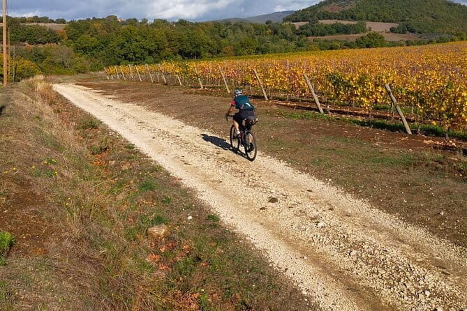 Sightseeing Tuscany by touring bike - 1 day rental - Final Thoughts: Is This Tour for You?