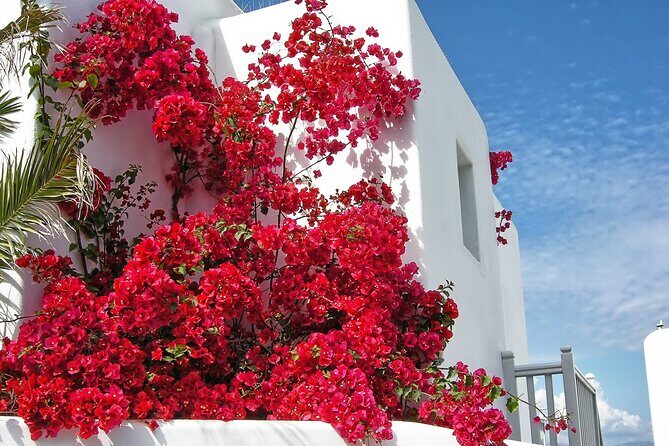 Sightseeing with a Mykonian(Small Group or Private) - The Sum Up: Why This Tour Is a Smart Choice