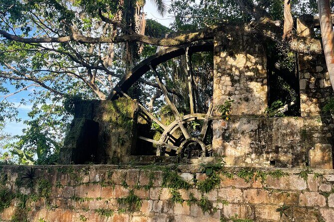 Sightseen tour and Souvenir shopping with private transportation in Montego Bay - Why This Tour Is a Fantastic Choice