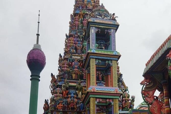 Sigiriya and Dambulla Day Tour from Colombo - Who Should Consider This Tour?