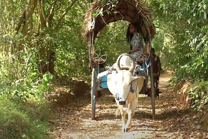 Sigiriya and Dambulla Private Day Tour by Tuk-Tuk or Car - Why This Tour Offers Great Value
