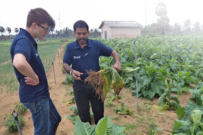 Sigiriya and Dambulla Private Full-Day Guided Tour - Who Will Enjoy This Tour?