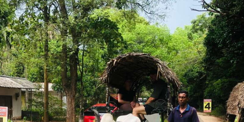 Sigiriya and Dambulla Private Full-Day Tour - Practical Considerations