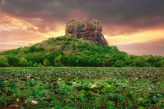 Sigiriya and Dambulla Tour (All Inclusive) - Who Would Love This Tour?