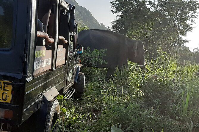 Sigiriya, Dambulla and Minneriya National Park Private Tour In - Exploring the Highlights: A Deep Dive into the Tour