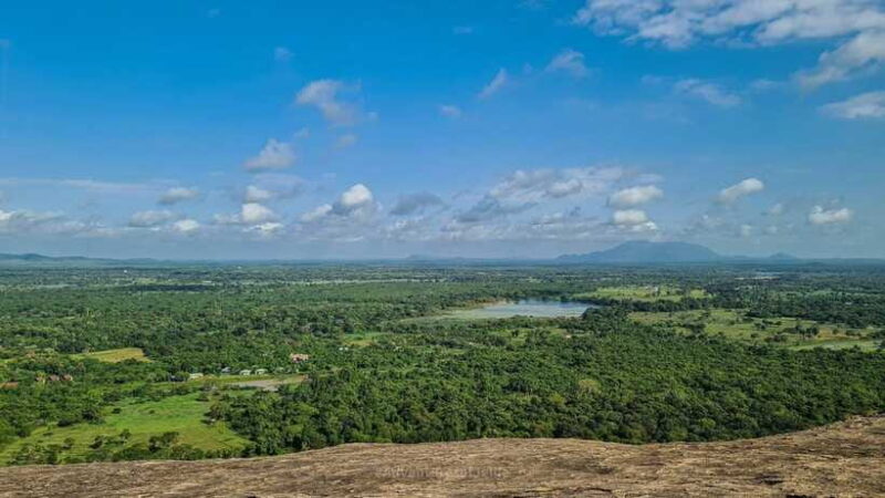 Sigiriya, Dambulla & Safari Day Tour from Colombo - What’s Included and What’s Not
