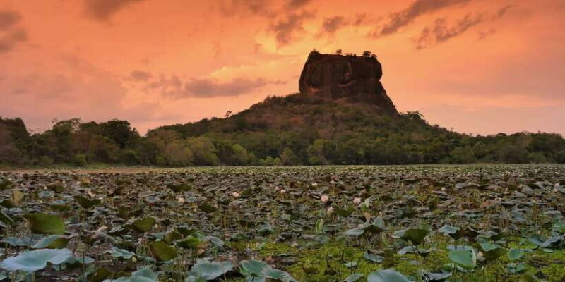 Sigiriya: Dambulla Temple & Village Tour From Trincomalee - Final Thoughts