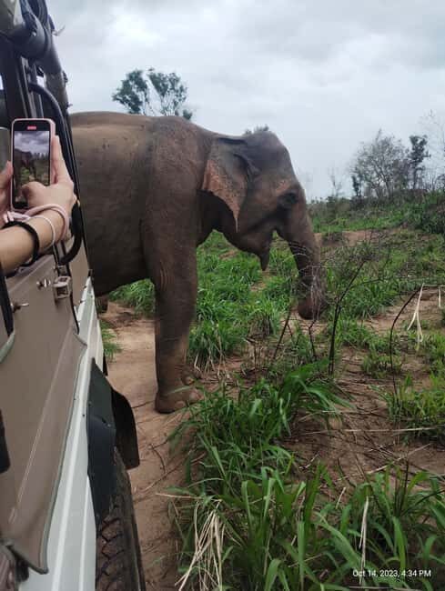 Sigiriya: Day tour from Negombo with hotel transfers - FAQs