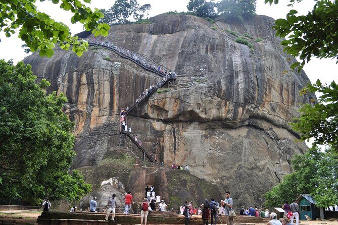 Sigiriya Day Trip with Elephant Safari & Lunch in a Village House - Who is this tour best suited for?