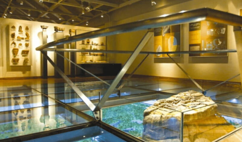 Sigiriya Fortress and Wildlife Safari from Kandy - Who Should Consider This Tour?