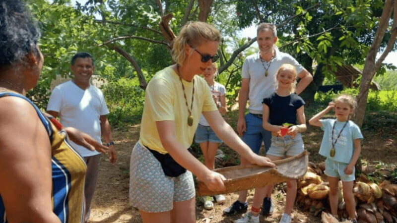 Sigiriya Lion Rock & Minneriya National Park Elephant Safari - Practicalities and Tips for the Tour