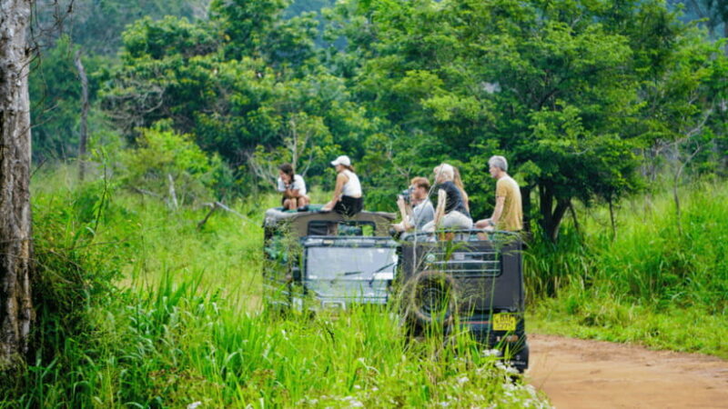 Sigiriya Lion Rock & Minneriya National Park Elephant Safari - Who Should Consider This Tour?