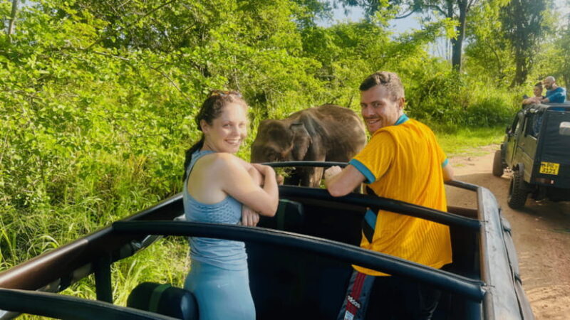 Sigiriya Lion Rock & Minneriya National Park Elephant Safari - The Sum Up