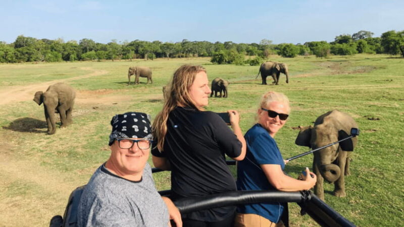 Sigiriya: Lion Rock & Minneriya Safari Full Day Private Tour - FAQ