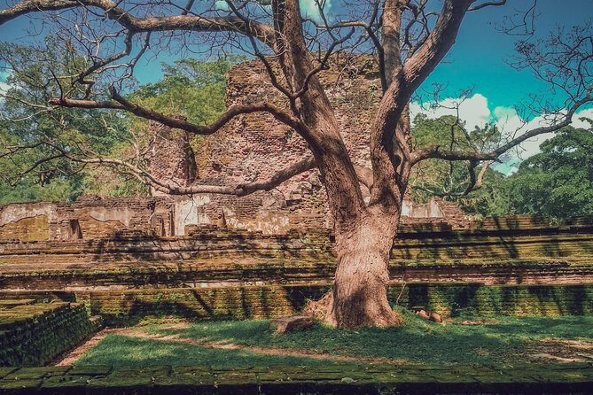 Sigiriya, Polonnaruwa & Dambulla "Trilogy" Day Tour from Colombo - Who Will Love This Tour?