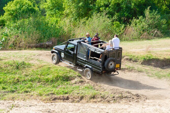 Sigiriya Rock and Wild Elephant Safari from Dambulla - The Sum Up