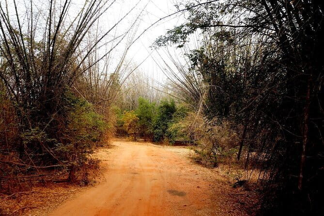 Sigiriya Rock Tour & Minneriya Halfday Safari Tour Sri Lanka - Practical Considerations and Tips