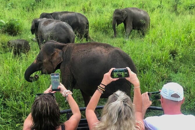 Sigiriya Rock, Village Tour and Wild Elephant Safari Sri Lanka - Experience the Best of Sri Lanka in One Day: Sigiriya Rock, Village Tour, and Elephant Safari